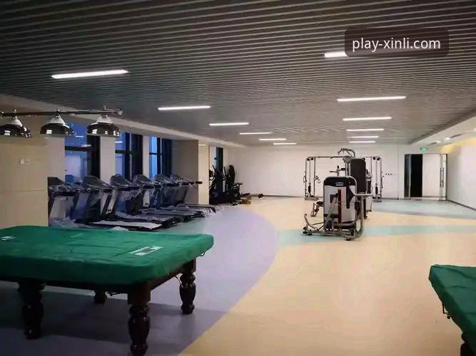 新利体育平台的数据分析功能究竟怎么样？深度专业评测